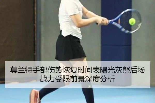 莫兰特手部伤势恢复时间表曝光灰熊后场战力受限前景深度分析