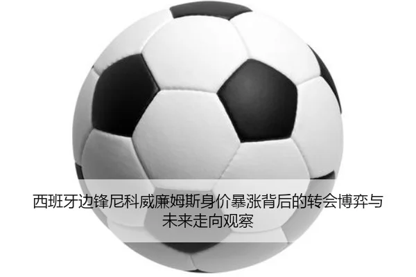 西班牙边锋尼科威廉姆斯身价暴涨背后的转会博弈与未来走向观察